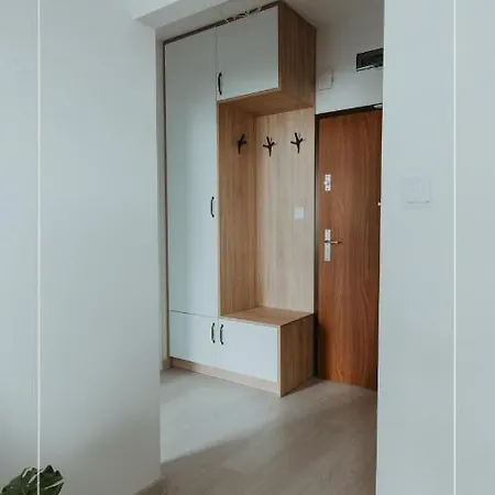 公寓 Apartament Nova***** 奥斯特罗达