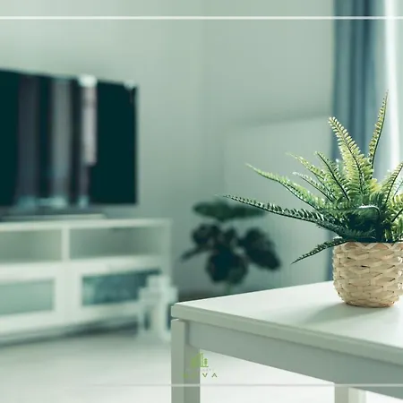 Apartament Nova***** 公寓 奥斯特罗达