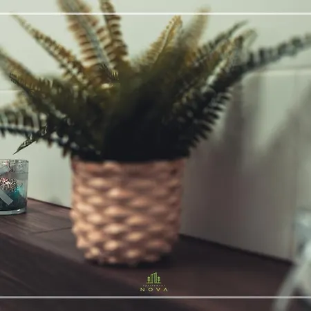Apartament Nova***** 公寓 *